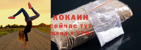 дживик Арсеньев