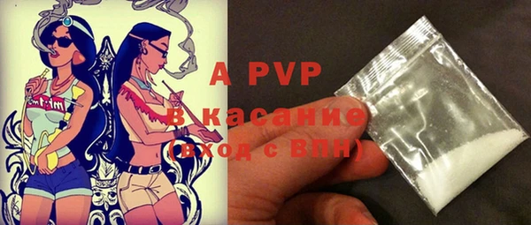 дживик Арсеньев