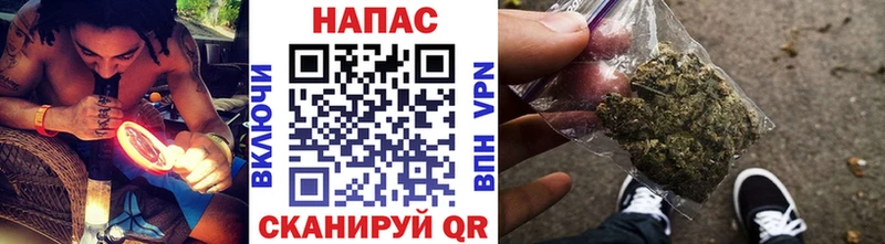 Шишки марихуана планчик  Балашов 